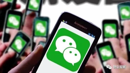 小貓gif動圖引導關注